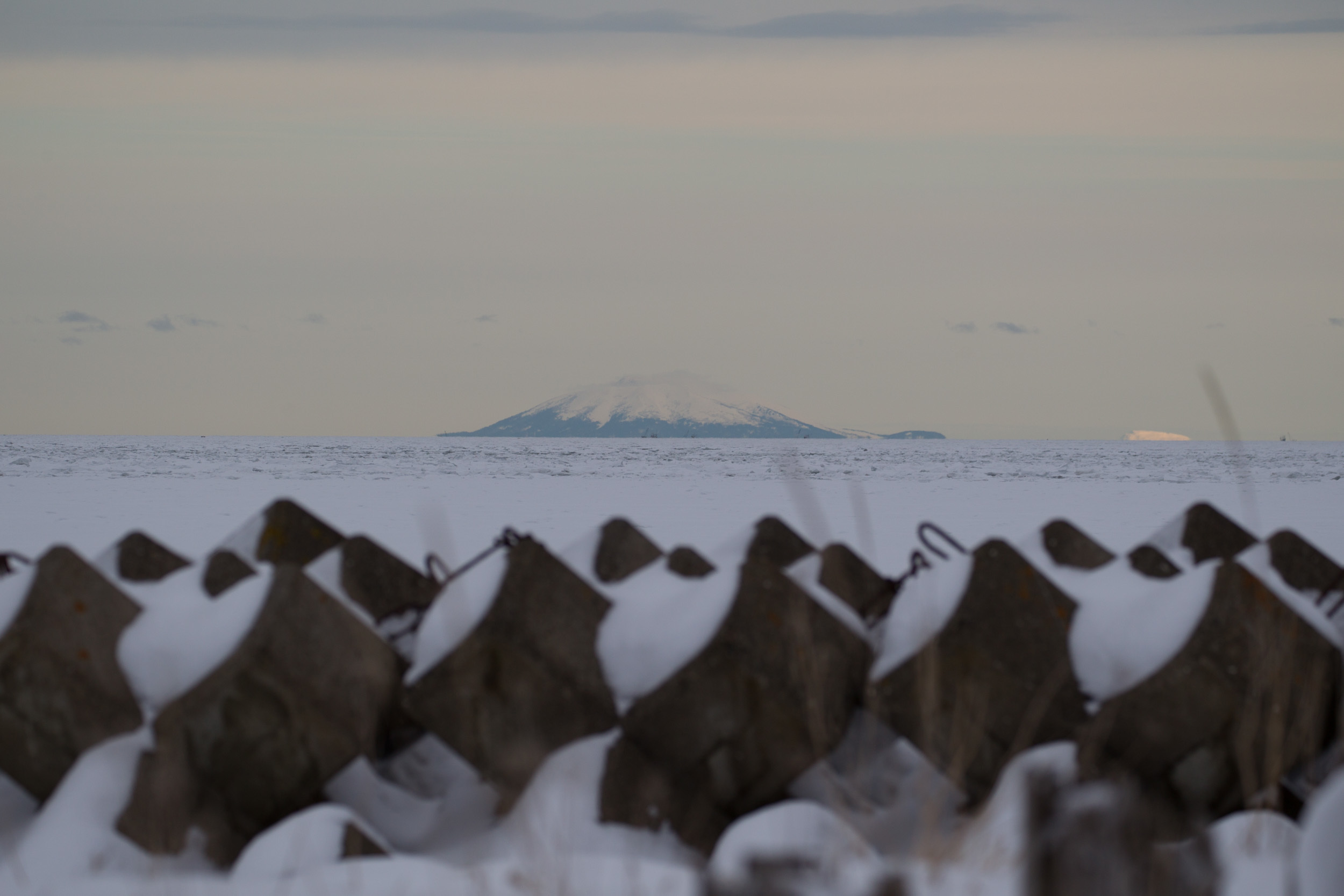 冬の北海道旅行　その21　(春国岱)_a0052080_13522542.jpg