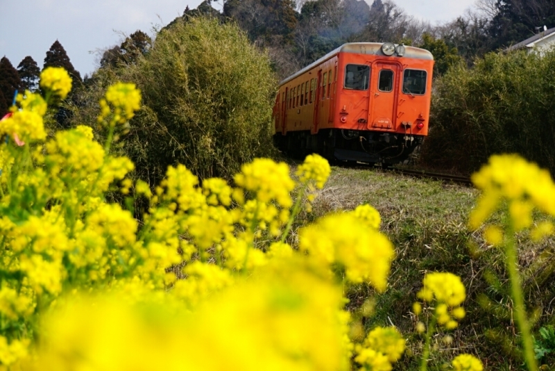 d0341483_20315684.jpg