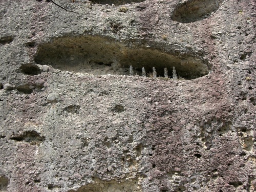 c0340786_12141868.jpg