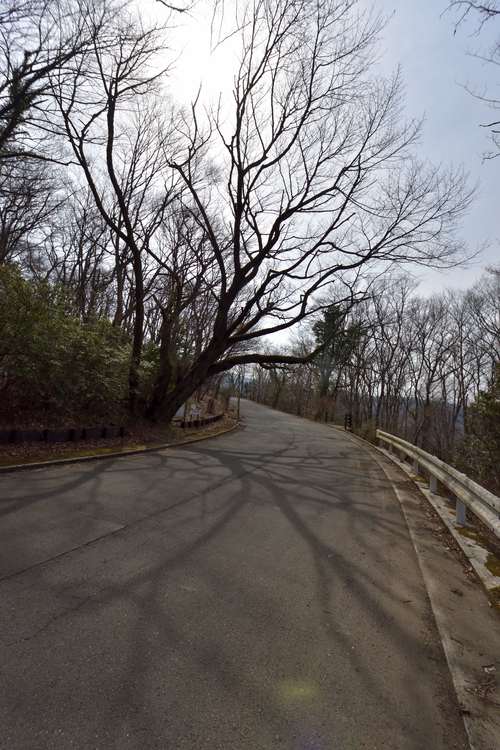 e0241691_2252594.jpg