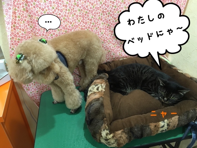 d0269898_09511811.jpeg