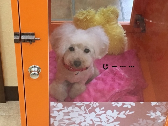 d0269898_09525209.jpeg