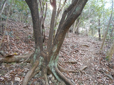 f0308898_19174730.jpg