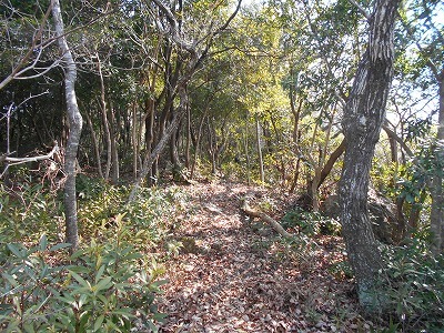 f0308898_19292984.jpg