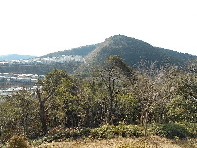 f0308898_19324123.jpg