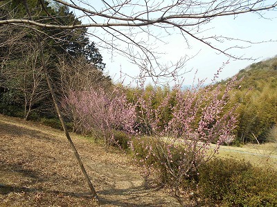 f0308898_19410605.jpg