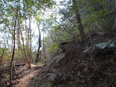 f0308898_19412532.jpg
