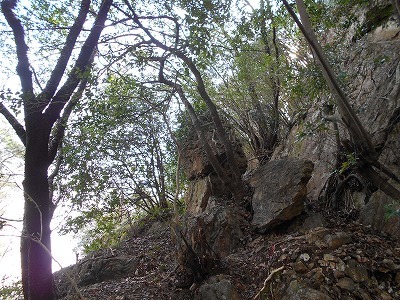 f0308898_19423034.jpg