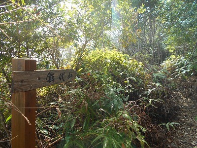 f0308898_19455179.jpg