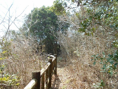 f0308898_19461870.jpg