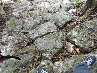f0308898_19522934.jpg