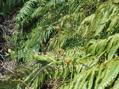 f0308898_19571517.jpg