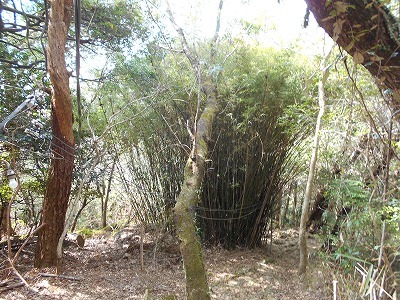 f0308898_19574777.jpg