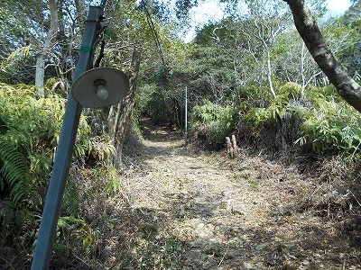 f0308898_20003170.jpg