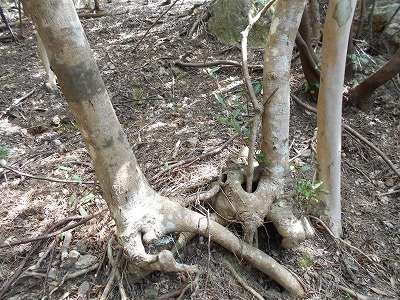 f0308898_20004553.jpg