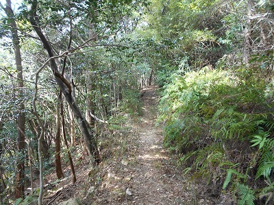 f0308898_20021601.jpg