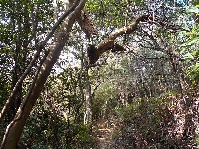 f0308898_20025883.jpg