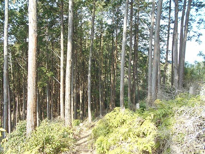 f0308898_20031578.jpg