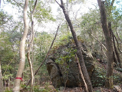 f0308898_20042139.jpg
