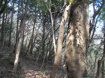 f0308898_20051909.jpg