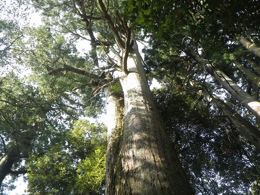f0187402_18101386.jpg