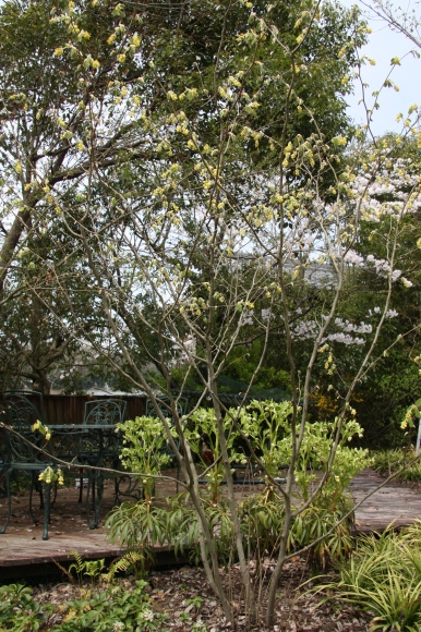 a0139007_20042199.jpg