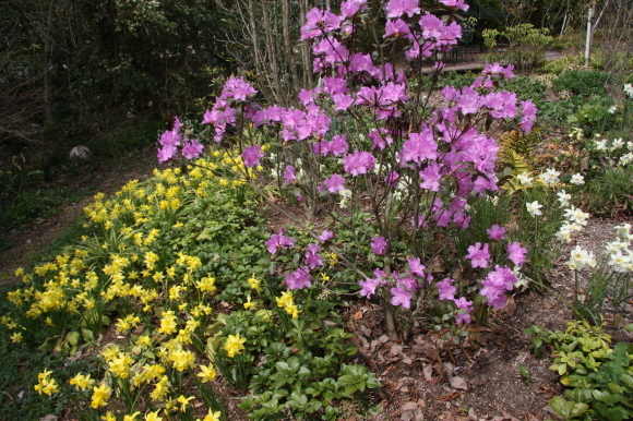 a0139007_20112232.jpg