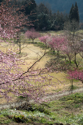 b0014607_20472668.jpg