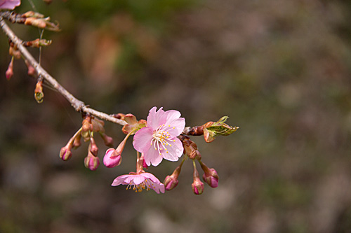 b0014607_20484634.jpg
