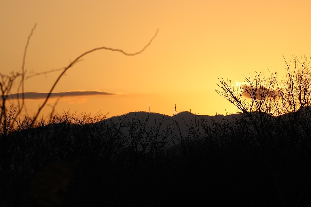 e0123808_00361596.jpg
