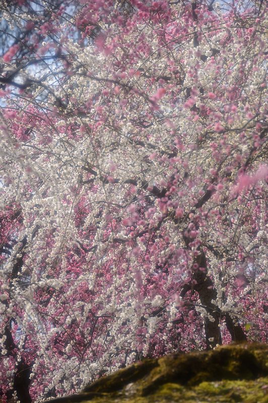 f0032011_19505251.jpg