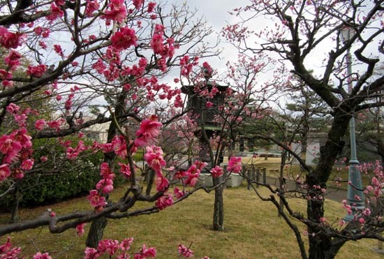 京都国立博物館　庭園散策_e0048413_21461900.jpg