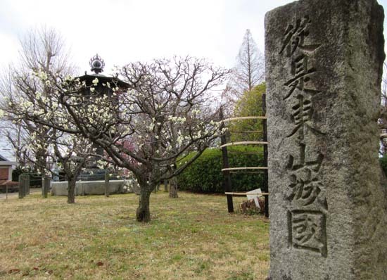 京都国立博物館　庭園散策_e0048413_21463134.jpg