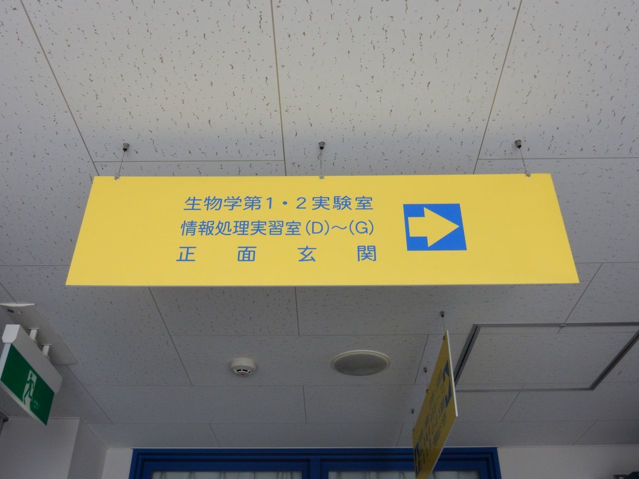 大学は春休み_c0025115_20254676.jpg