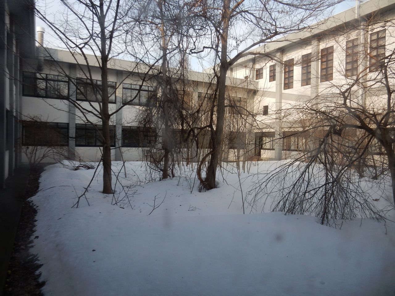 大学は春休み_c0025115_20262196.jpg