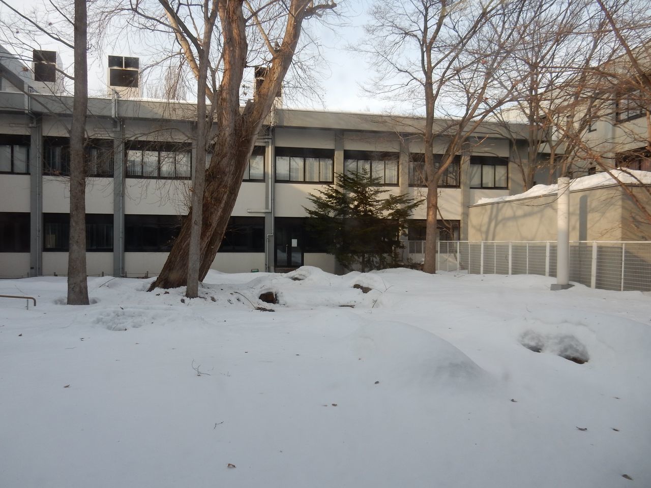 大学は春休み_c0025115_20262497.jpg