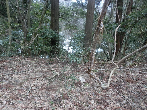b0181818_19520610.jpg