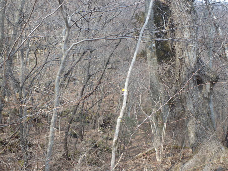 前岳（白泉荘～前岳～上台ウツシ～雨堤）_f0193521_12125469.jpg