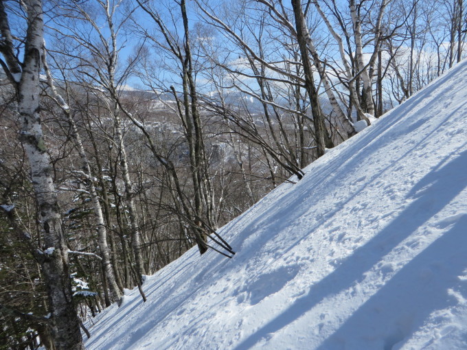 e0109622_19310465.jpg