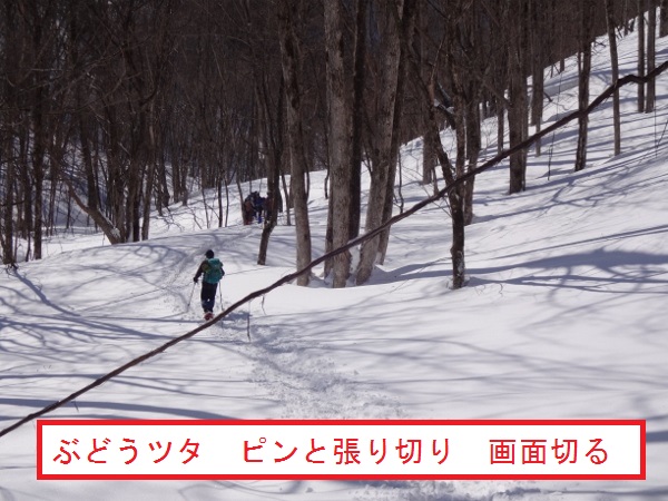 冬の裏磐梯山行(雄国山)_e0265627_14531512.jpg