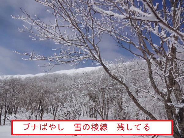 冬の裏磐梯山行(雄国山)_e0265627_14532987.jpg