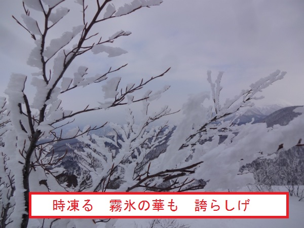 冬の裏磐梯山行(雄国山)_e0265627_14555815.jpg