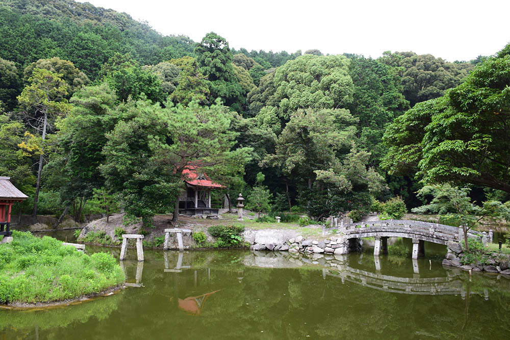 太平記を歩く。　その２４　「嶽山城（龍泉寺城）跡」　大阪府富田林市_e0158128_18090858.jpg