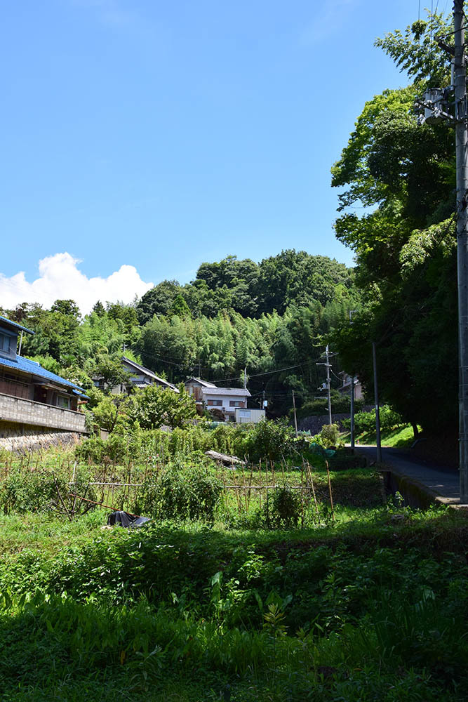 太平記を歩く。　その２５　「持尾城跡」　大阪府南河内郡河南町_e0158128_18200284.jpg