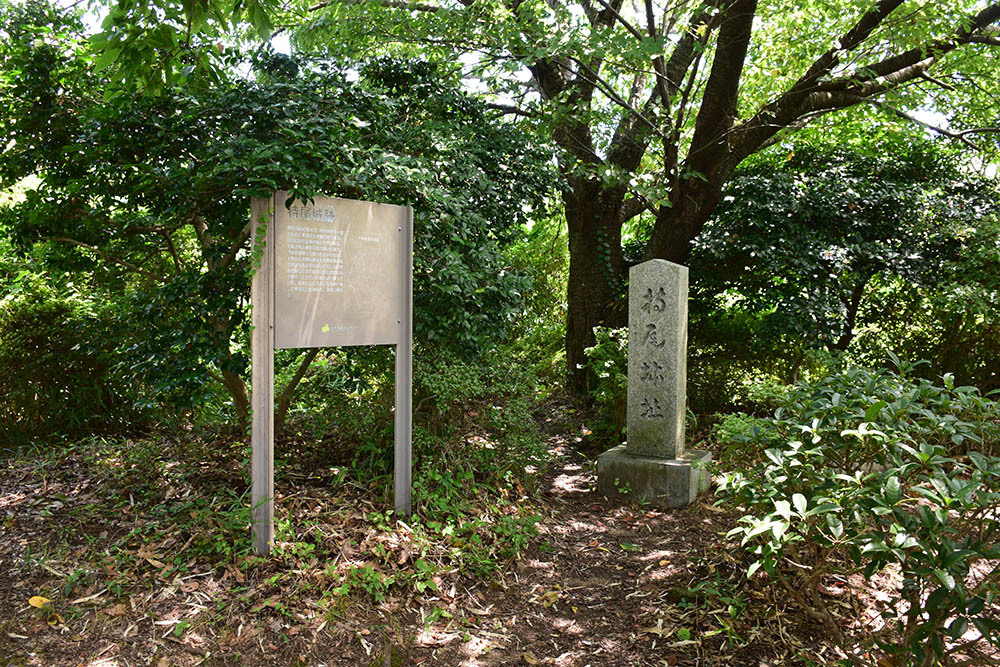 太平記を歩く。　その２５　「持尾城跡」　大阪府南河内郡河南町_e0158128_18263925.jpg