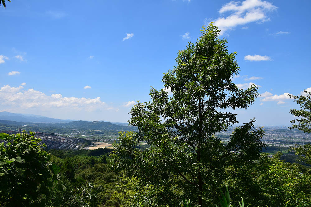 e0158128_18313765.jpg