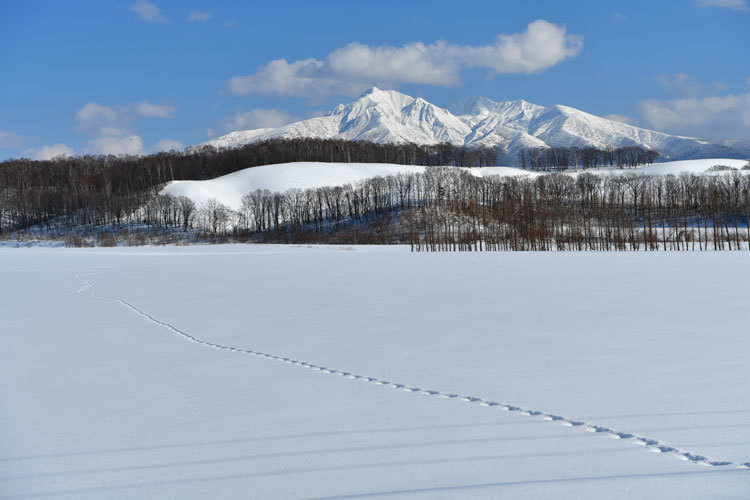 道東・オホーツク930キロの旅② - Photo Of 北海道大陸
