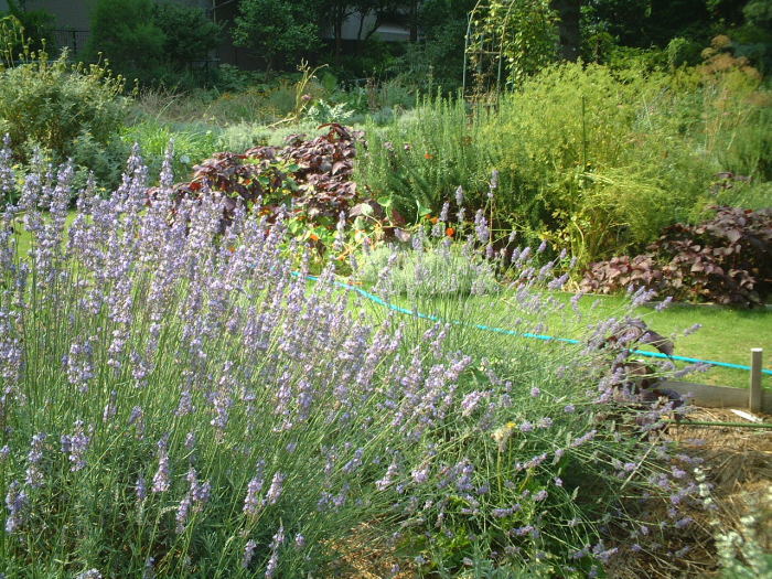 a0057830_21493354.jpg