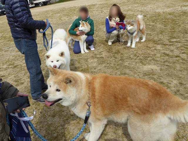 2017・秋保香川支部春季展覧会_f0008935_17361440.jpg