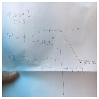 d0268536_7301719.png